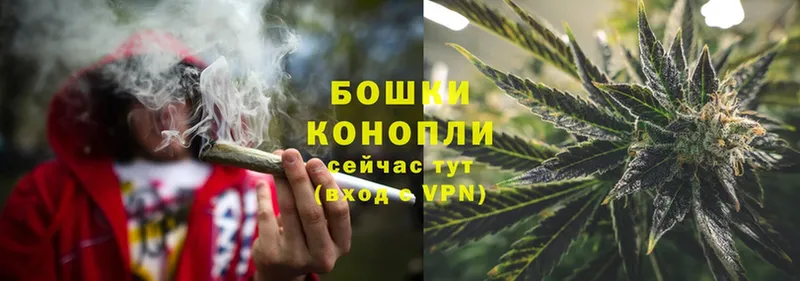 Марихуана OG Kush  как найти   Руза 